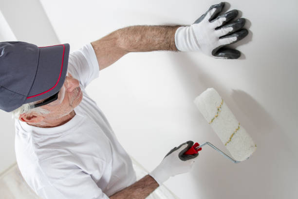 Grove City, OH Mold Removal Company