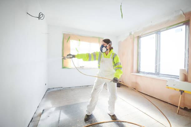  Grove City, OH Mold Removal Pros