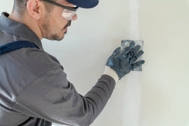 Best Water Damage & Mold Remediation  in Grove City, OH
