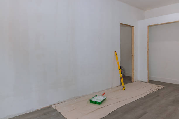 Best Black Mold Removal  in Grove City, OH