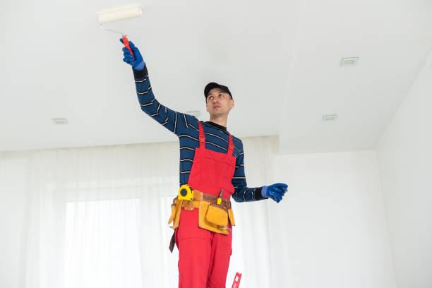 Best Attic Mold Removal  in Grove City, OH