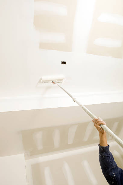 Best Basement Mold Removal  in Grove City, OH