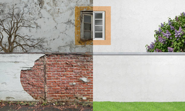 Best Biohazard Mold Removal  in Grove City, OH