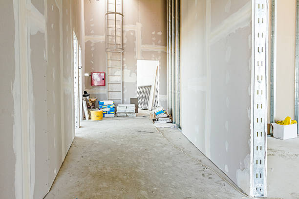 Best Mold Damage Restoration  in Grove City, OH